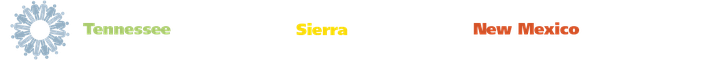 DCIDS-WYG