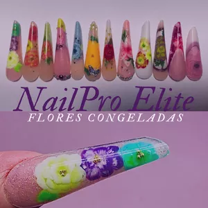 Imagem de capa para o Curso online Flores congeladas unhas 