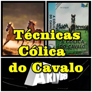 Imagem de capa para o Curso online Cólica do Cavalo - com Dr. Neimar Roncati e Dra. Martha Gruber