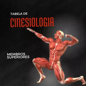 Imagem de capa para o Curso online Tabela de cinesiologia dos membros superiores