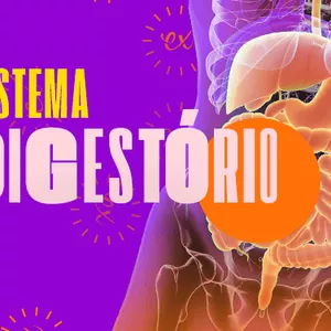 Imagem de capa para o Ebook Resumo digestório II