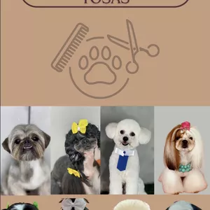 Imagem de capa para o Ebook Guia visual de tosa 