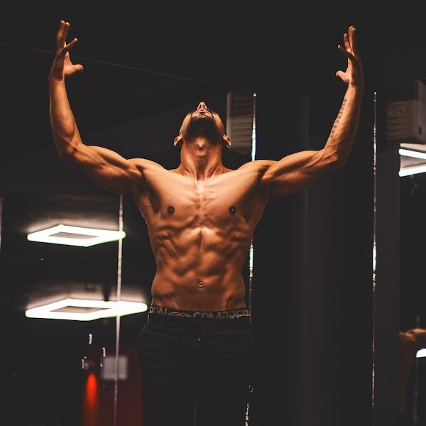 Imagem do curso ACELERA FIT - Consultoria Personalizada para Ganho de Massa Muscular em 40 Dias