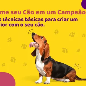 Imagem de capa para o Ebook Transforme seu cão em um campeão