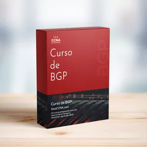 Imagen de portada para Curso online Curso de BGP de SeaCCNA