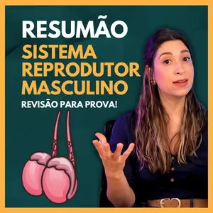 Imagem de capa para o Ebook Apostila: Resumão Sistema Reprodutor Masculino. Material de Apoio aulas Youtube.