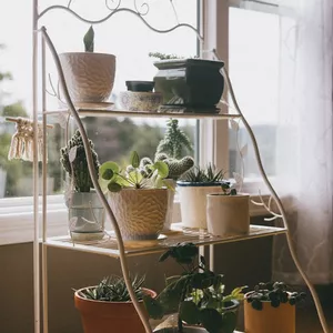 Imagem de capa para o Ebook Jardins Criativos em Espaços Reduzidos