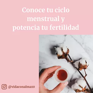 Imagem principal do produto Conecta con Tu Ciclo Menstrual y Potencia tu Fertilidad  