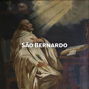 Imagem de capa para o Curso online São Bernardo
