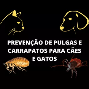 Curso PREVENÇÃO DE PULGAS E CARRAPATOS DE CÃES E GATOS