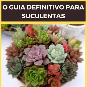 Imagem de capa para o Ebook O GUIA DEFINITIVO PARA SUCULENTAS
