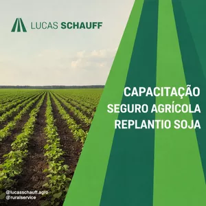 Curso Replantio em Soja com Foco em Seguro Agrícola