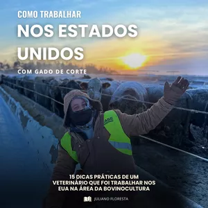 Imagem de capa para o Ebook Como Trabalhar nos EUA com gado de corte