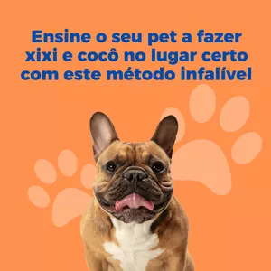 Imagem de capa para o Ebook Pet Xixi e Cocô no Lugar Certo