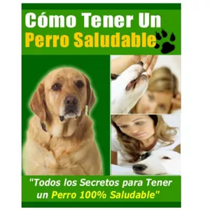 Imagen de portada para Ebook Cómo tener un perro saludable