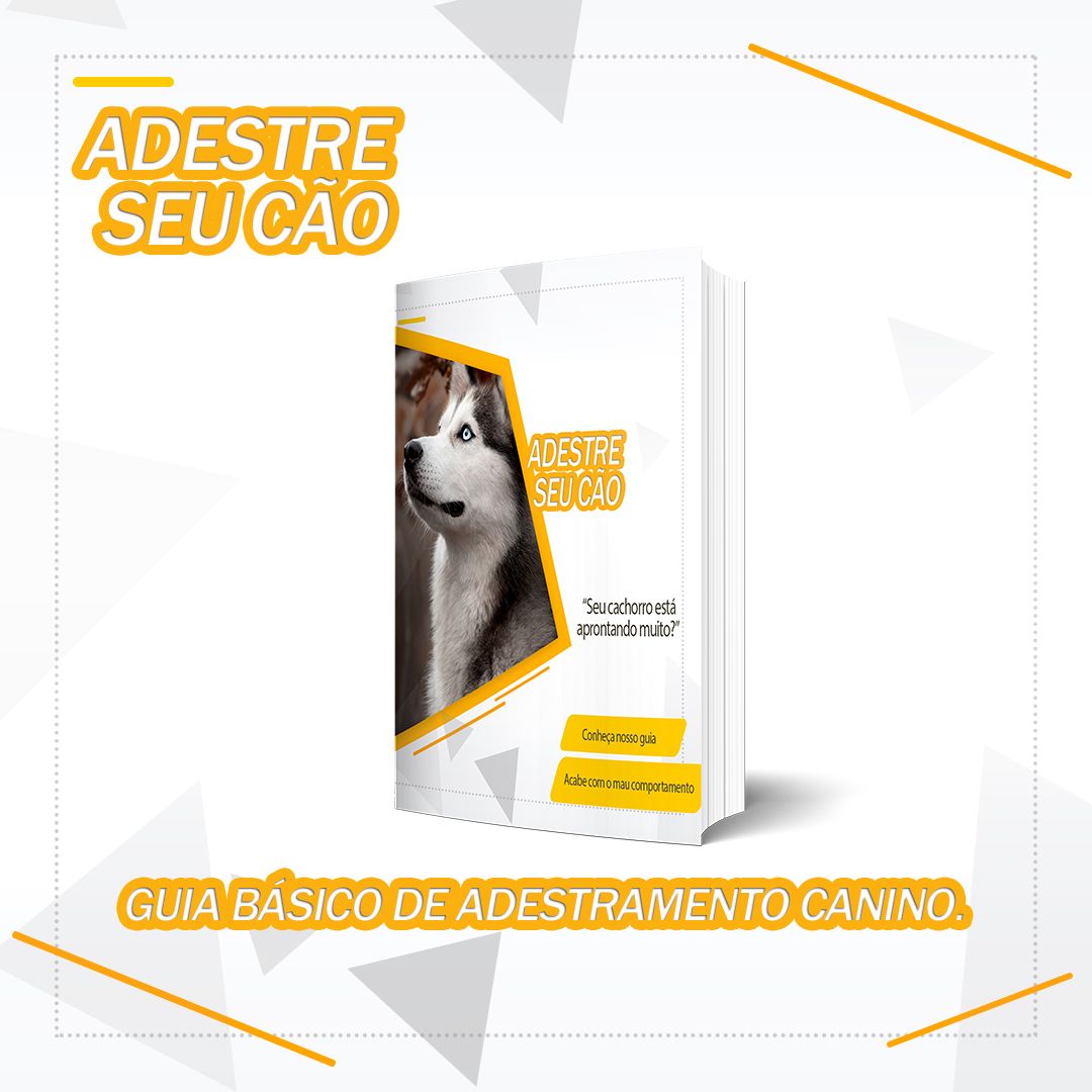 Imagem do curso Adestre seu cão - Por Felipe Oliveira
