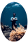 Functional Freediving