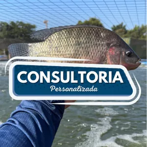 Imagem de capa para o Serviço online Consultoria ONLINE Individual Personalizada - Doutora dos Peixes