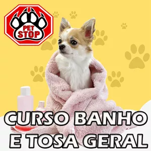 Imagem de capa para o Curso online 🐾 CURSO DE BANHO E TOSA GERAL 🐶