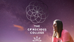 The Conscious College