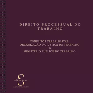 Imagem de capa para o Ebook Direito Processual do Trabalho Conflitos Trabalhistas, Organização da Justiça do Trabalho e Ministério Público do Trabalho  