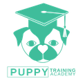 Puppy Training Academy (The Family Dog Club) logo