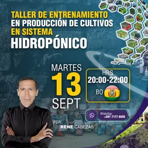 Imagen de portada para Evento online Taller de entrenamiento en producción de cultivos hidropónicos 