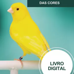 Imagem de capa para o Ebook A GENÉTICA DAS CORES DOS CANÁRIOS - livro digital