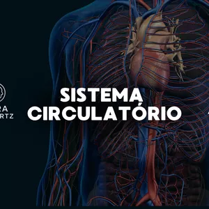 Imagem de capa para o Curso online FREQUÊNCIA PARA SISTEMA CIRCULATÓRIO