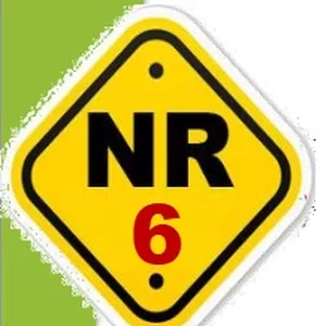 Imagem de capa para o Ebook Treinamento NR 06 - Básico