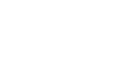 The Voice Stylist logo
