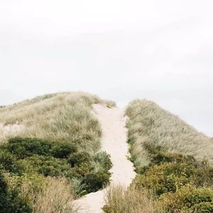 Cover image for Online course BE TRUE, BE YOU 1:1 MULTIDIMENSIONAL COACHING SESIONS