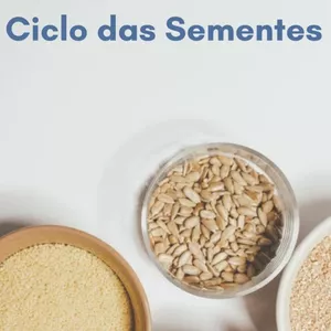 Imagem de capa para o Ebook CICLO DAS SEMENTES