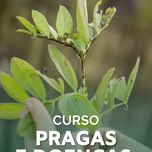 Imagem de capa para o Curso online Curso Pragas e Doenças Comuns nas Plantas🐌