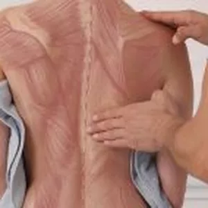 Imagem de capa para o Curso online Fibromialgia e Aromaterapia