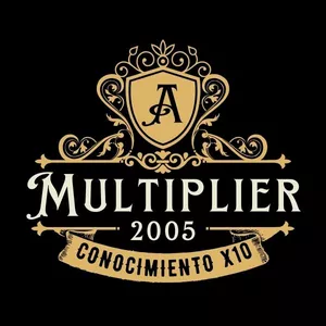 Imagen de portada para Curso online MULTIPLIER X10