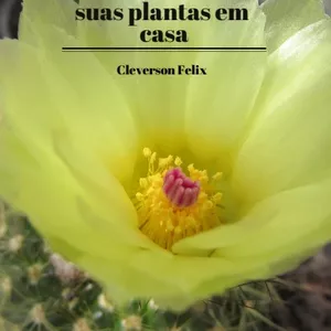 Imagem de capa para o Ebook Como cuidar das suas plantas em casa