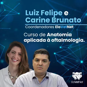 Imagem de capa para o Curso online Curso Anatomia Aplicada à Oftalmologia