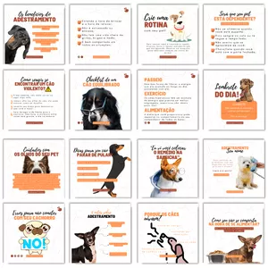 Imagem do curso CANVA ADESTRAMENTO