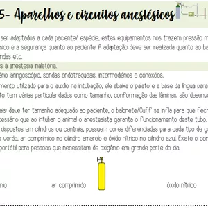 Imagem de capa para o Ebook Apostila de Anestesiologia Veterinária