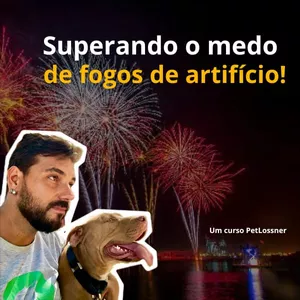 PetLossner: Superando o Medo de Fogos de Artifício