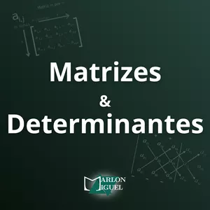 Imagem de capa para o Curso online Matrizes e Determinantes