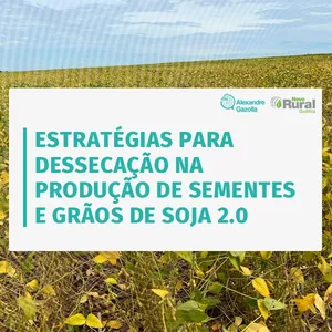 Imagem do curso Estratégias para Dessecação na Produção de Sementes e Grãos de Soja 2.0