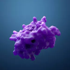 Cover image for Ebook The power of enzymes is essential for life and health