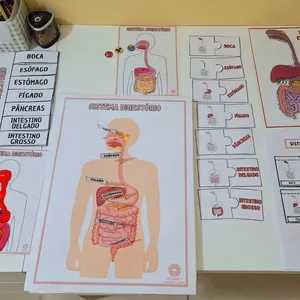 Imagem de capa para o Ebook Atividades Sistema Digestório