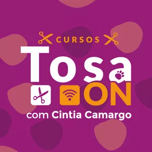 Imagem de capa para o Curso online Tosa On -Penteados com Colorações 