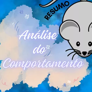 Imagem de capa para o Ebook Resumo Análise do Comportamento