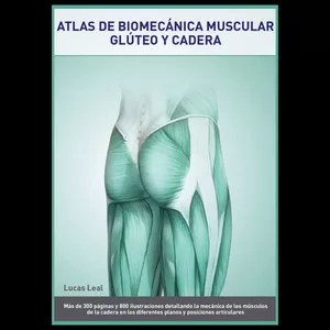 Imagen de portada para Ebook Atlas de biomecánica muscular – Glúteo y cadera