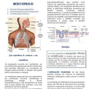 Imagem de capa para o Ebook BRONCOASPIRAÇÃO resumo 
