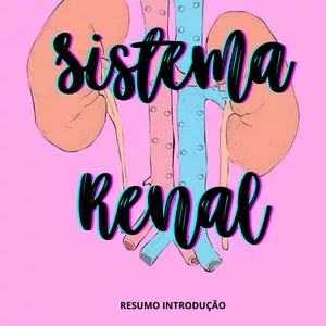 Imagem de capa para o Ebook SISTEMA RENAL INTRODUÇÃO RESUMO